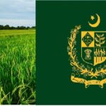 Government of Punjab offered Paid Internship Programs for 1000 Agriculture Students