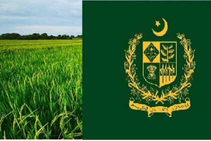 Government of Punjab offered Paid Internship Programs for 1000 Agriculture Students