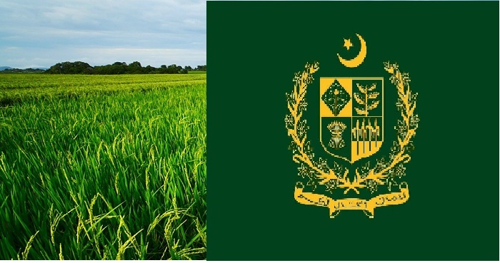 Government of Punjab offered Paid Internship Programs for 1000 Agriculture Students